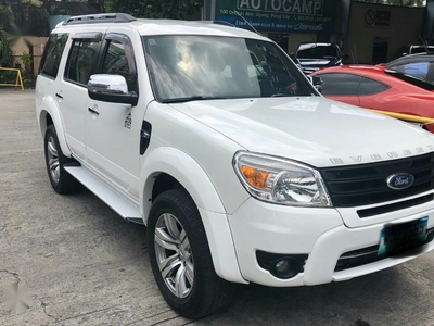 2013 Ford Everest for sale in Pasig