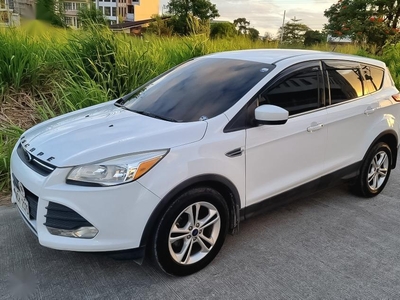 Sell White 2016 Ford Escape in Santa Rosa