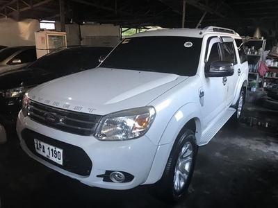 Selling 2nd Hand Ford Everest 2015 Automatic Diesel at 50000 km in Lapu-Lapu