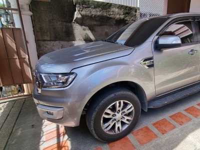 Sell Silver 2018 Ford Everest in Guiguinto