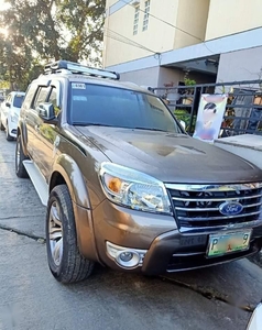 Selling Silver Ford Everest 2011 in Taguig