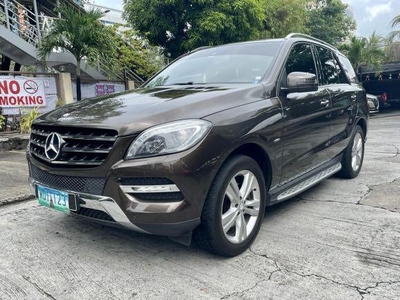 Silver Mercedes-Benz ML250 2013 for sale in Pasig
