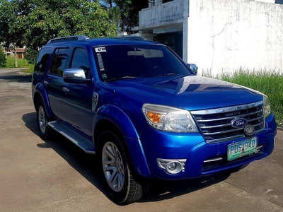 Blue Ford Everest for sale in Bacolor