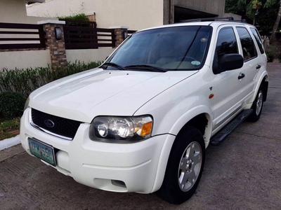 Sell 2nd Hand 2007 Ford Escape Automatic Gasoline at 100000 km in Parañaque