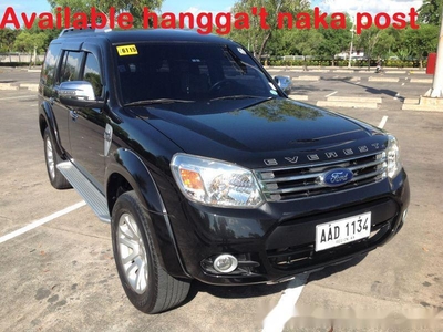 2014 Ford Everest for sale in Quezon