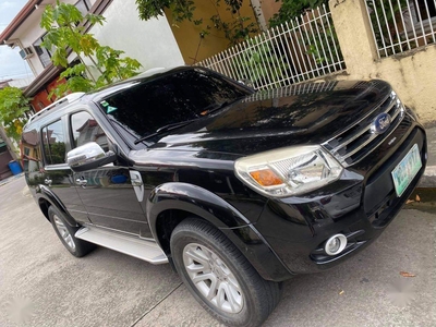 Black Ford Everest 2013 for sale in Cainta