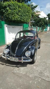 1966 Volkswagen Beetle for sale