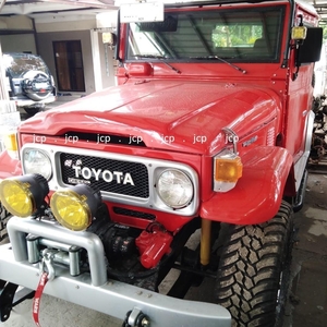 1979 Toyota Fj Cruiser for sale in Manila