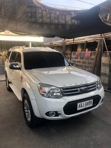 Sell Purple 2014 Ford Everest in Pasig