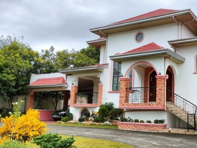Almost 1 Hectare Farm House with Lots of Fruit Bearing Trees in Lipa