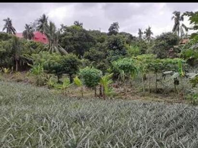 Lot For Rent In Silang, Cavite