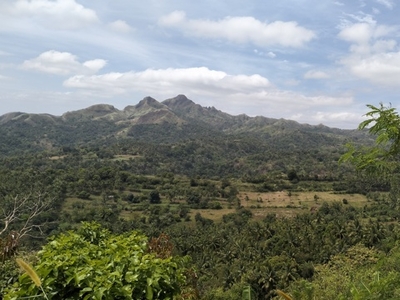 Lot For Sale In Cahil, Calaca