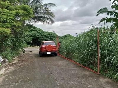 Lot For Sale In Cupang, Antipolo