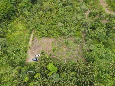 Lot For Sale In Santol, Silang