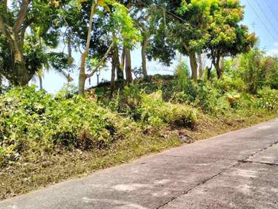 Lot For Sale In Talaga, Lemery