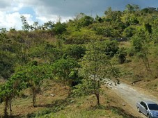 1311 sqm farm lot for sale in San Mateo Timberland Heights