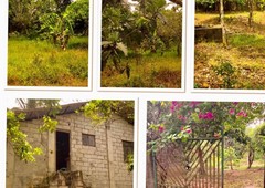 2050 sqmtr farm lot for sale in silang