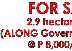 2.9 Hectares Lot FOR SALE @P8,000/sqm ALONG Governor's Drive