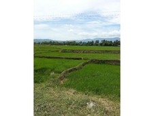 Agricultural/Residential Land For Sale in Oriental