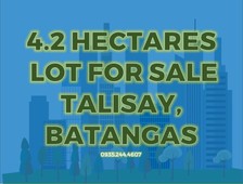 Agricultural Lot for Sale in Talisay Batangas