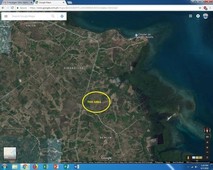 AGRICULTURAL LOT FOR SALE IN UBAY BOHOL 26.5 HECTARES