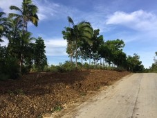 Bohol Hills Estates residential lots with average of 500 sqm