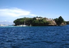 Boracay Magic Island Private Island for sale Ideal for