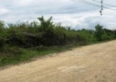 Cebu Liloan Lot for Sale Industrial Residential and