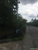 commercial lot for sale in meycauyan