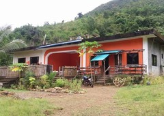 House for rent or sale, Coron, Palawan 420 sq.m home