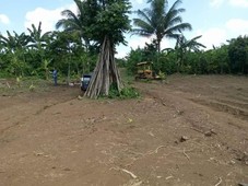 farm lot in amadeo cavite city
