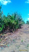 farm lots in amadeo cavite city
