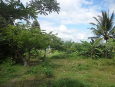 For Sale 131280 SQM Agricultural Lots