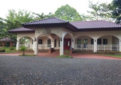 For Sale 4 Houses in 11,121sqm or 1.1Hectare Land
