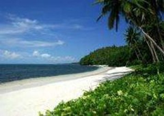 Island Paradise @ Tacloban