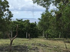 Land for sale in Bohol