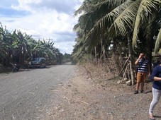 Land for Sale located at Due?as, Iloilo