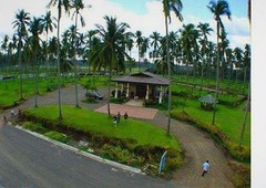 Lot for sale in Quezon