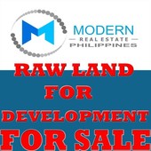 mercedes avenue pasig 3hectares land for warehouse or mall