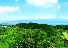 Overlooking House and Lot in Minglanilla Cebu