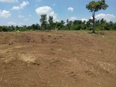 RESIDENTIAL FARM LAND FOR SALE