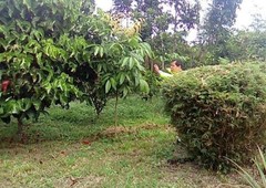 RESIDENTIAL FARM LOT FOR SALE IN MORONG RIZAL !!!
