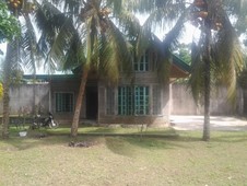 Residential Farm Lot with structures in Alaminos