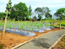 Residential Farm lots in Rizal complete with amenities