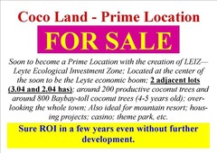 Rush - 3 hectare Cocoland for Sale - 1.75M only