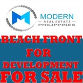 san vicente palawan beach property for developments