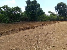 selling farm lot in Amadeo Cavite