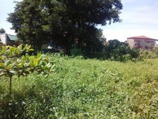 Vacant Lot in Cabanatuan City near NE