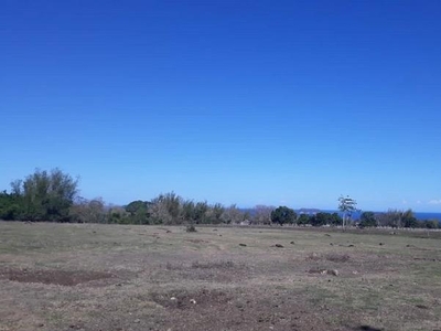 Agricultural Lot for sale in Dumaguete