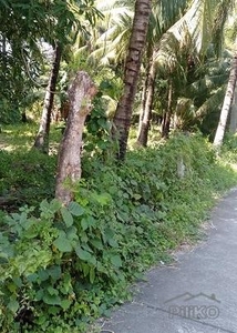 Other property for sale in Dumaguete